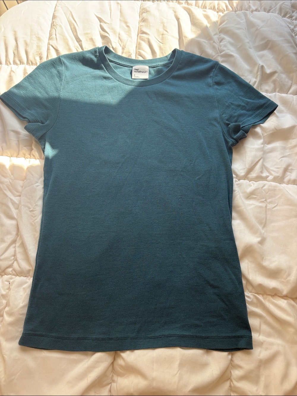 Teal Aritzia tee
